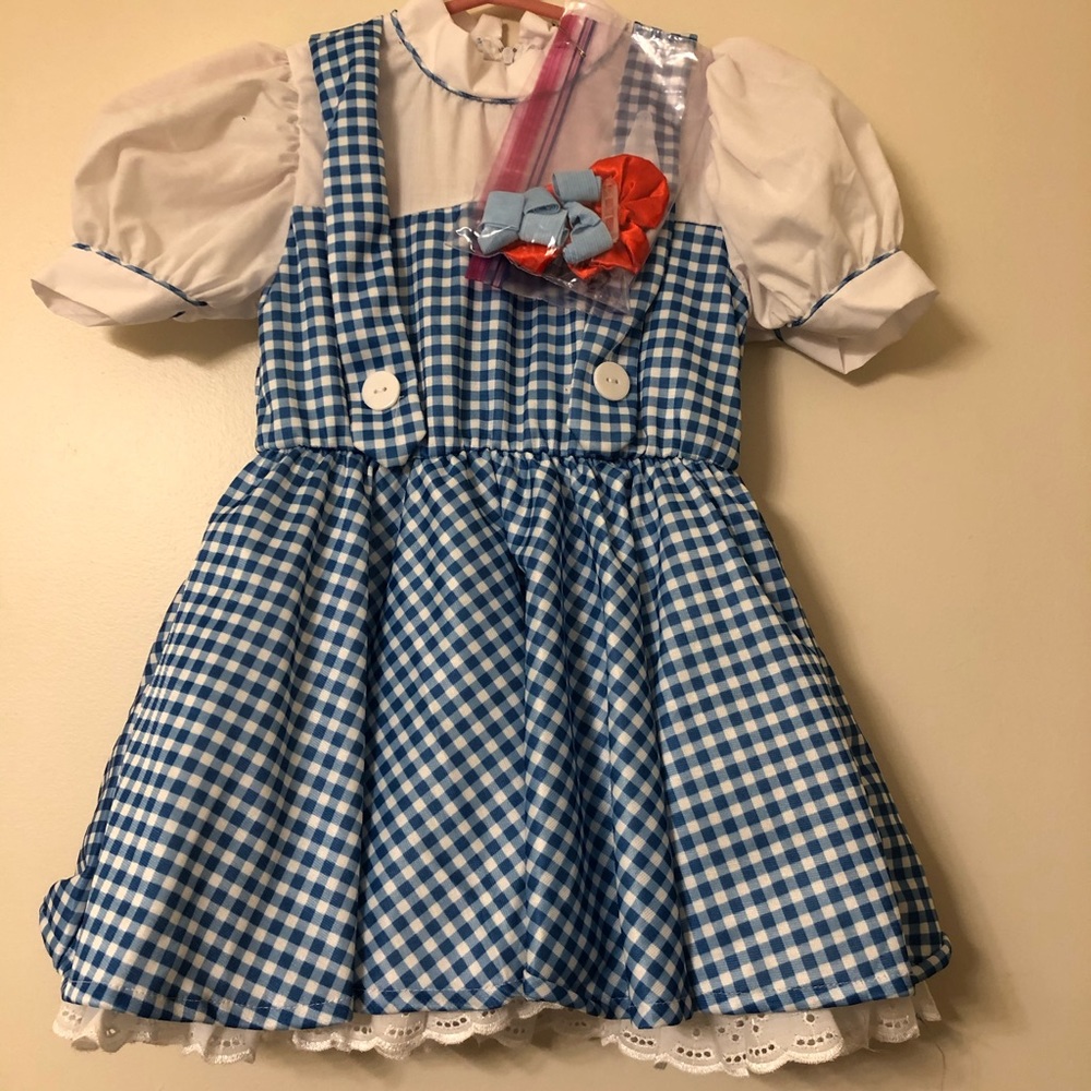 Dorothy Costume size 6